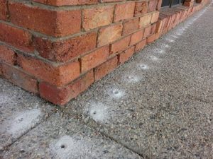 Use Pest Perfection for a drill and injection service against Termites in Johannesburg.