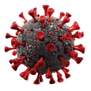 Our Sanitizing Service Johannesburg can handly viruses, bacteria as well as fungal disinfection in any settings. Pest Perfection is your number 1 Johannesburg Pest Control Service