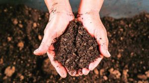 Soil poisoning is a common practice for Termite Control Johannesburg. This helps prevent Termites from moving in on your property and destroying your valualbles. Pest Perfection, beyong Pest Control.