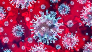 Viruses, Fungus and Bacterial are easily eliminated by our specialist Pest Management service Muldersdrift. Be germ free with a little help form Pest Perfection
