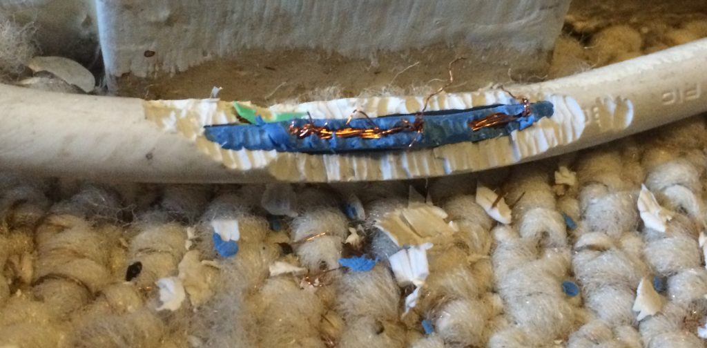 Rodent Control Johannesburg • Pest Perfection